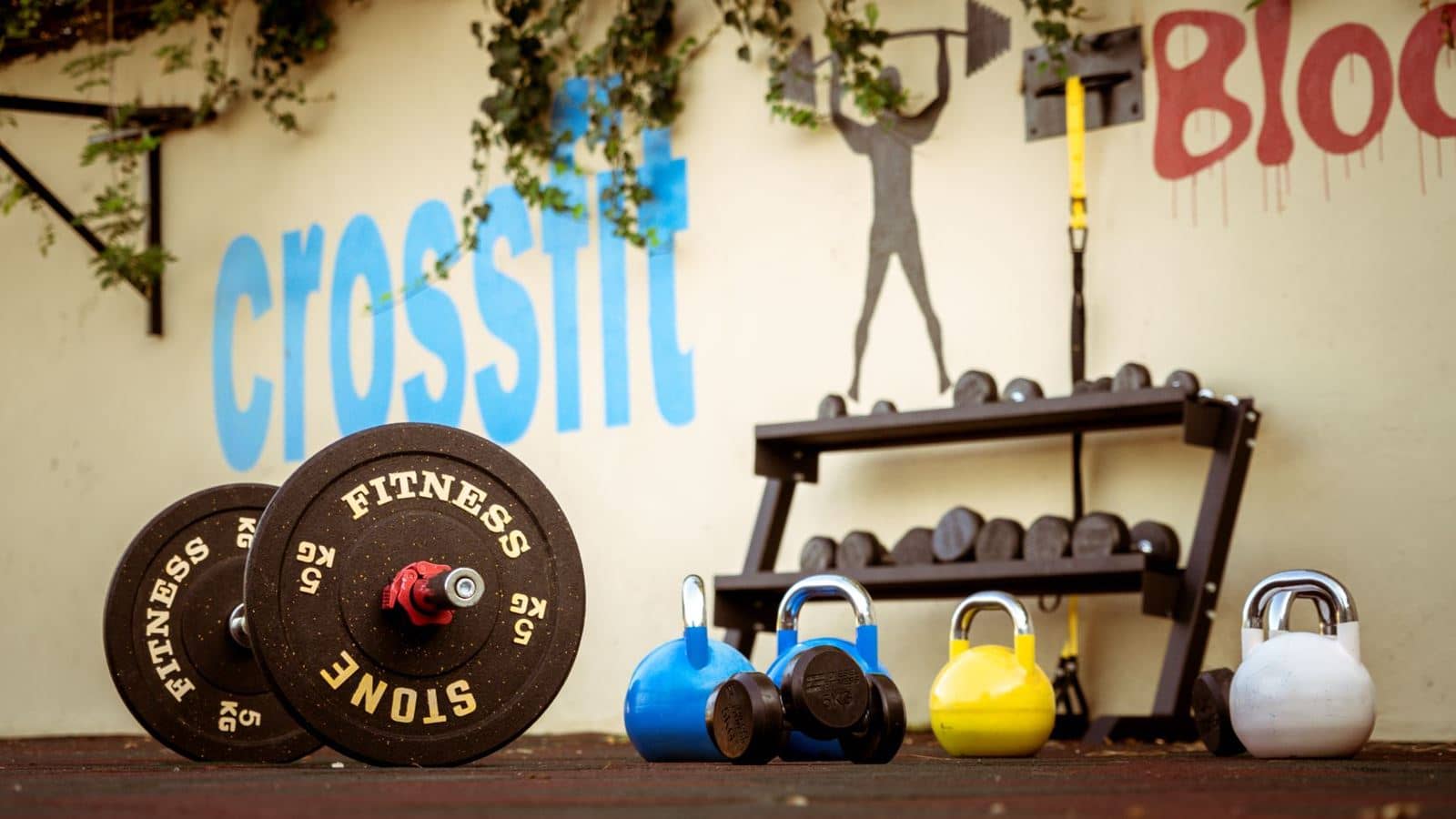 sport-sport