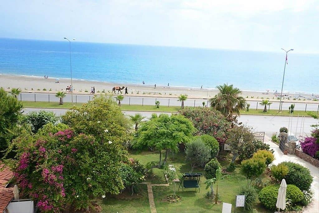 beach-beach