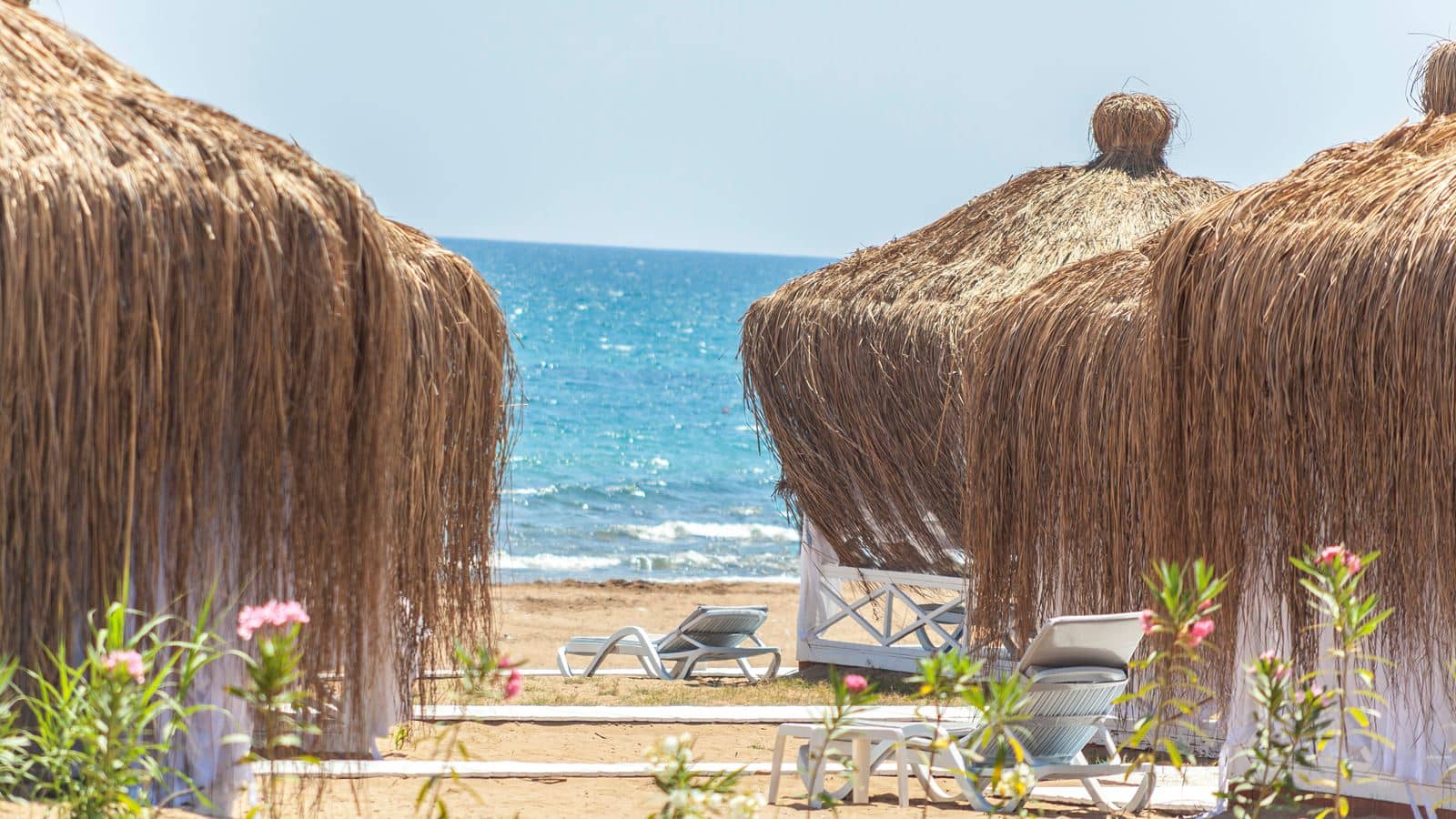beach-beach