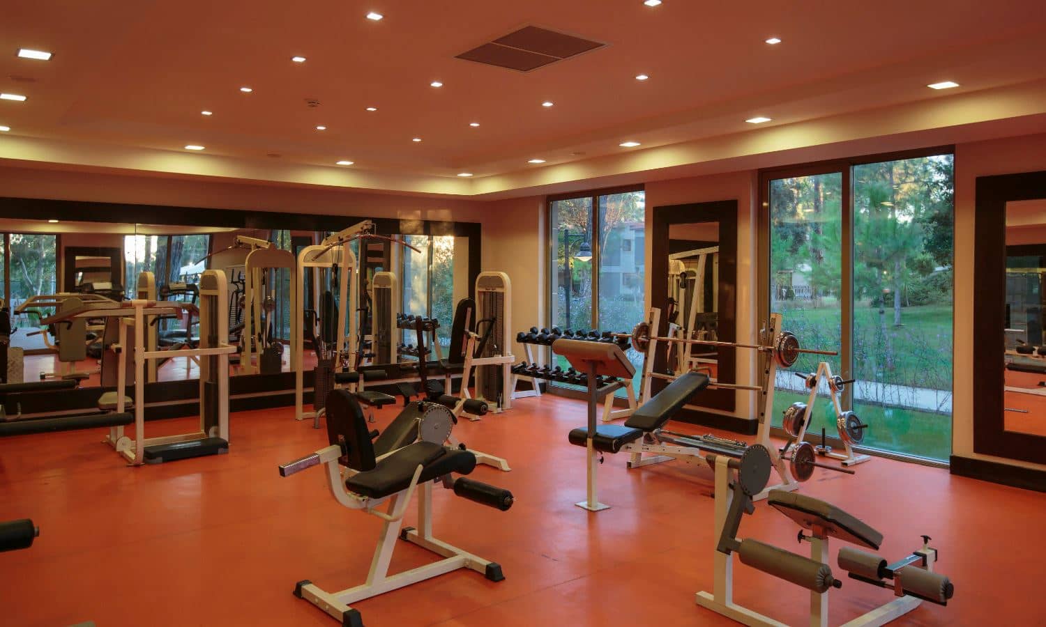 sport-sport