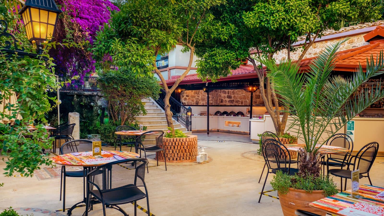 bars-begonia-bar
