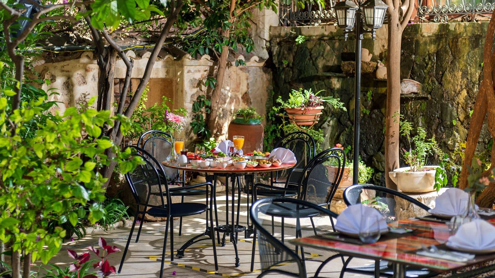 bars-begonia-bar