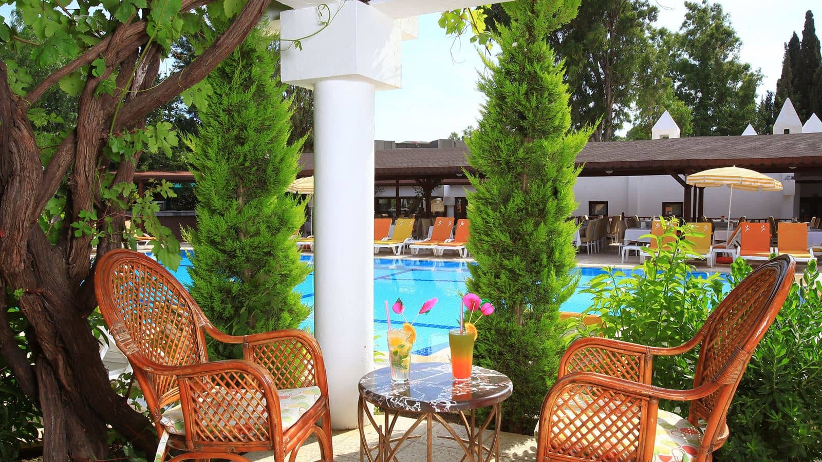 bars-pool-bar
