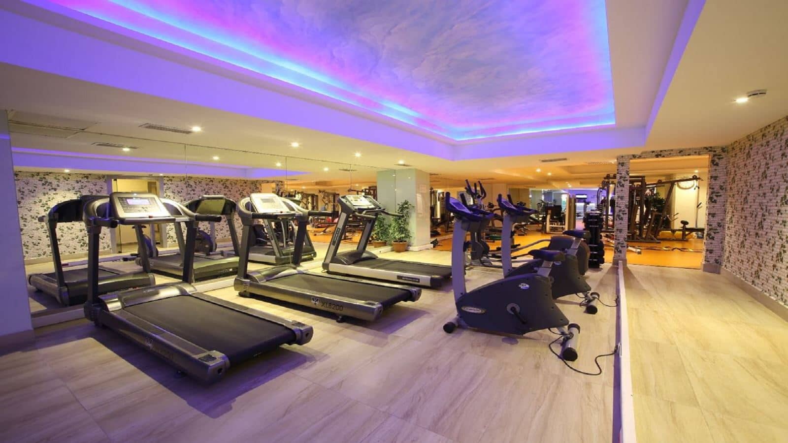 sport-sport