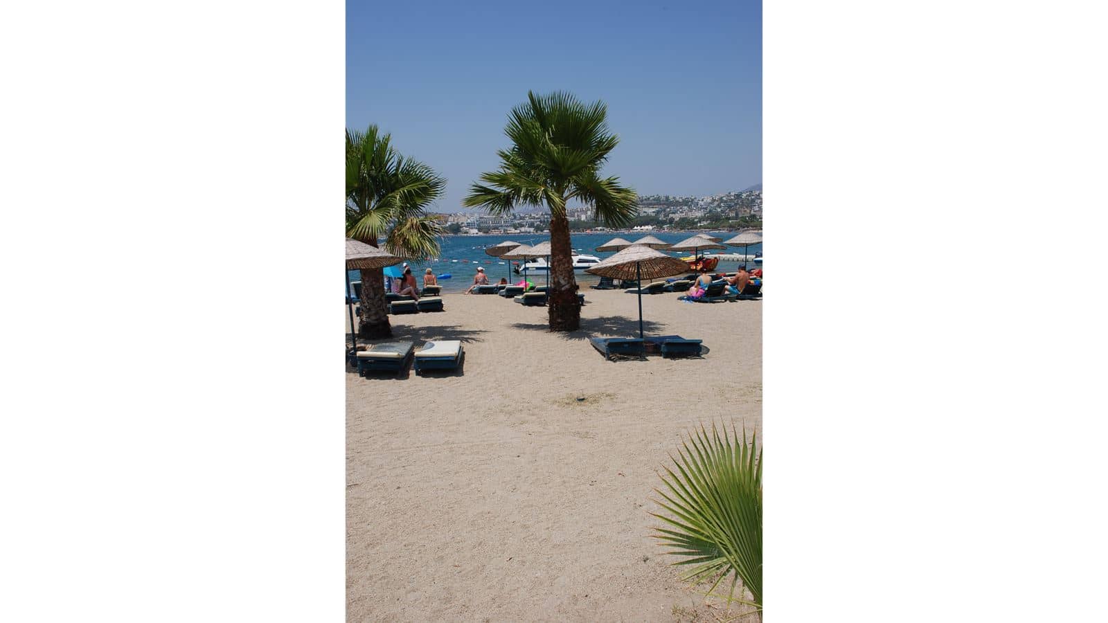 beach-beach