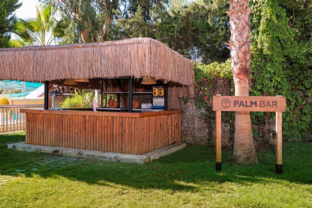 bars-palm-bar