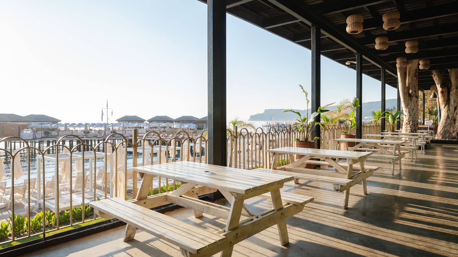 bars-the-beer-garden