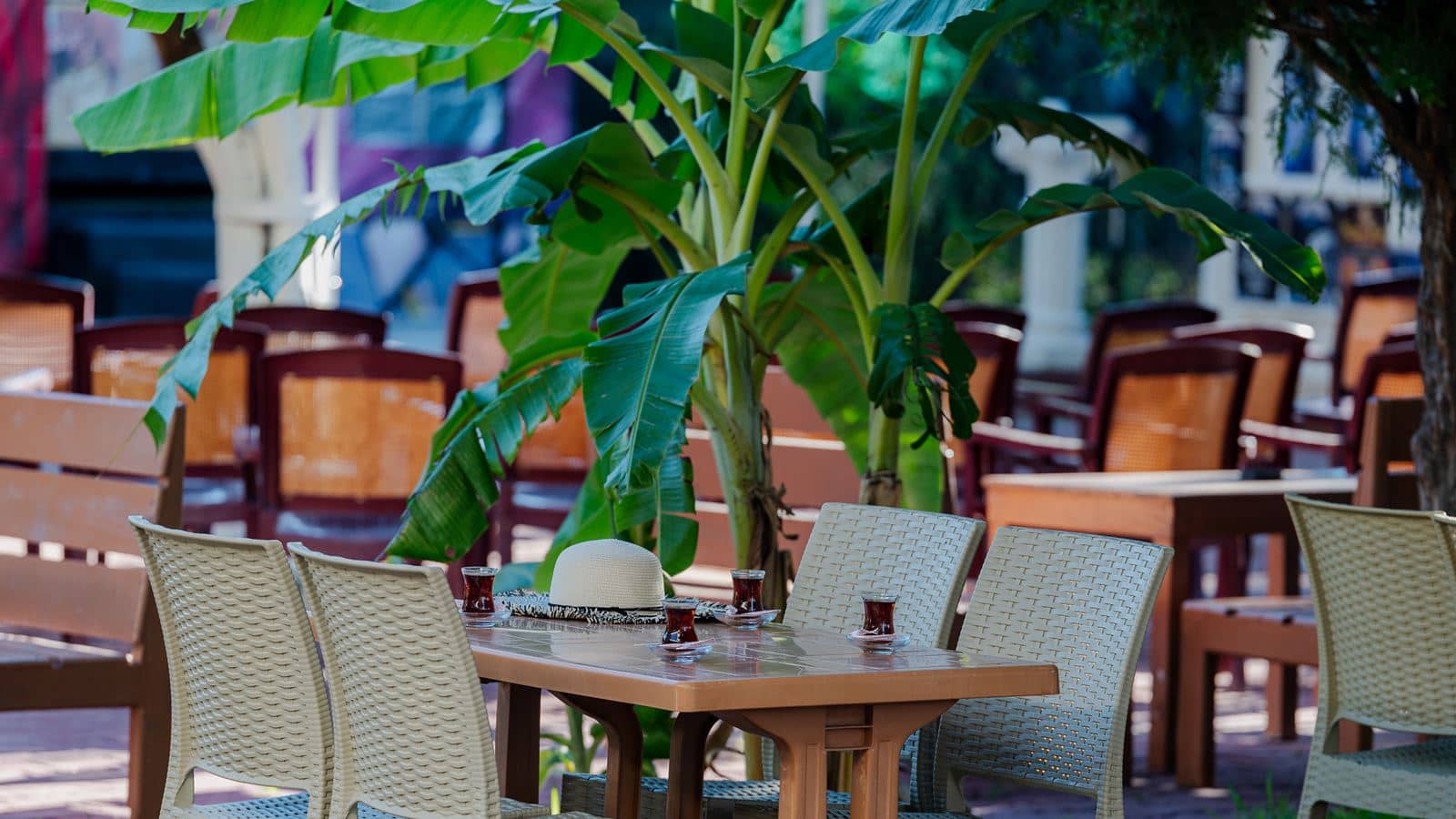 restaurants-snack-bar