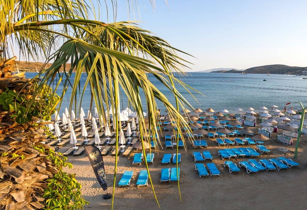 beach-beach