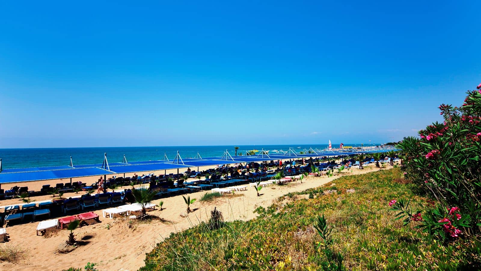 beach-beach