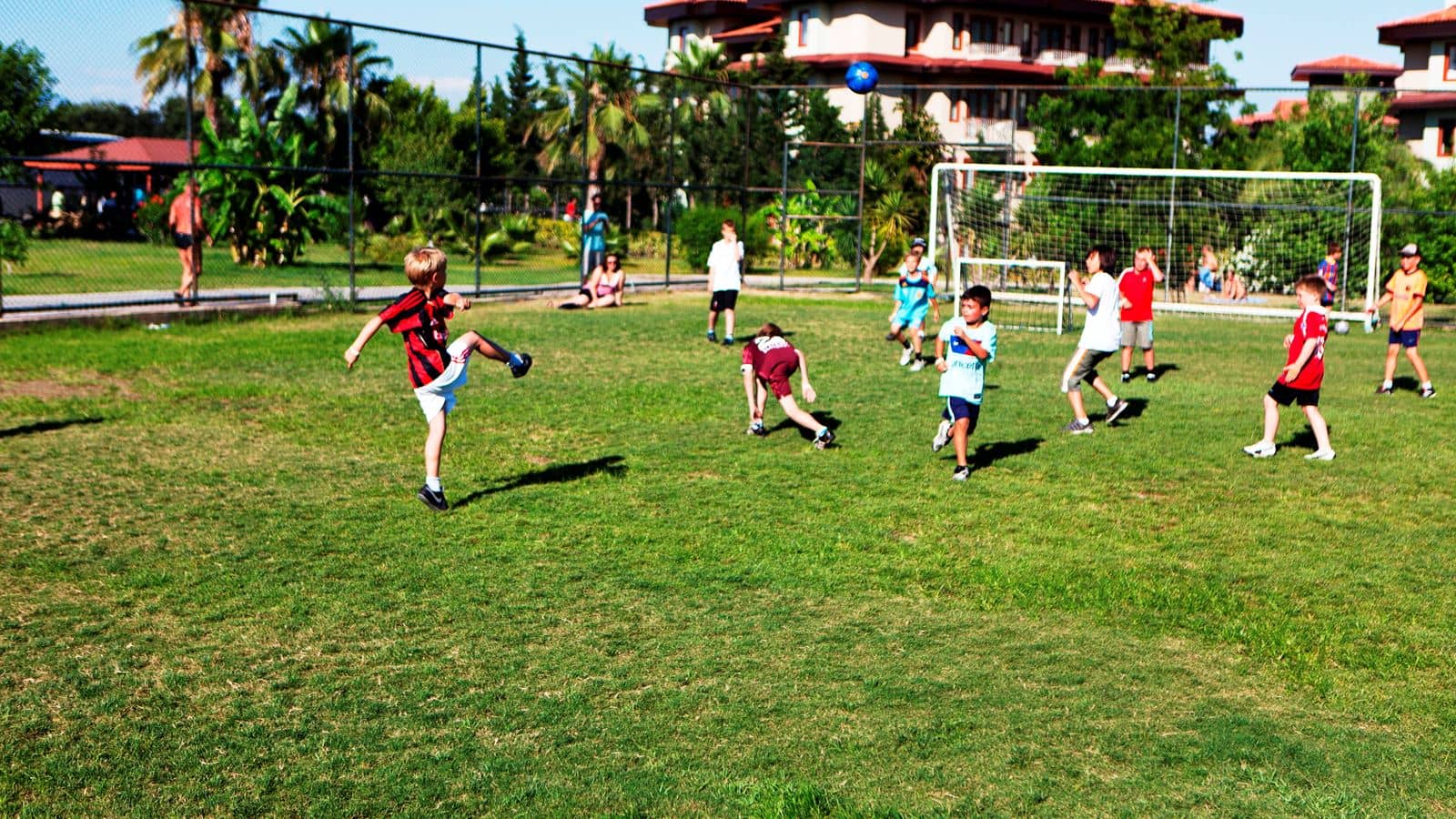 sport-sport
