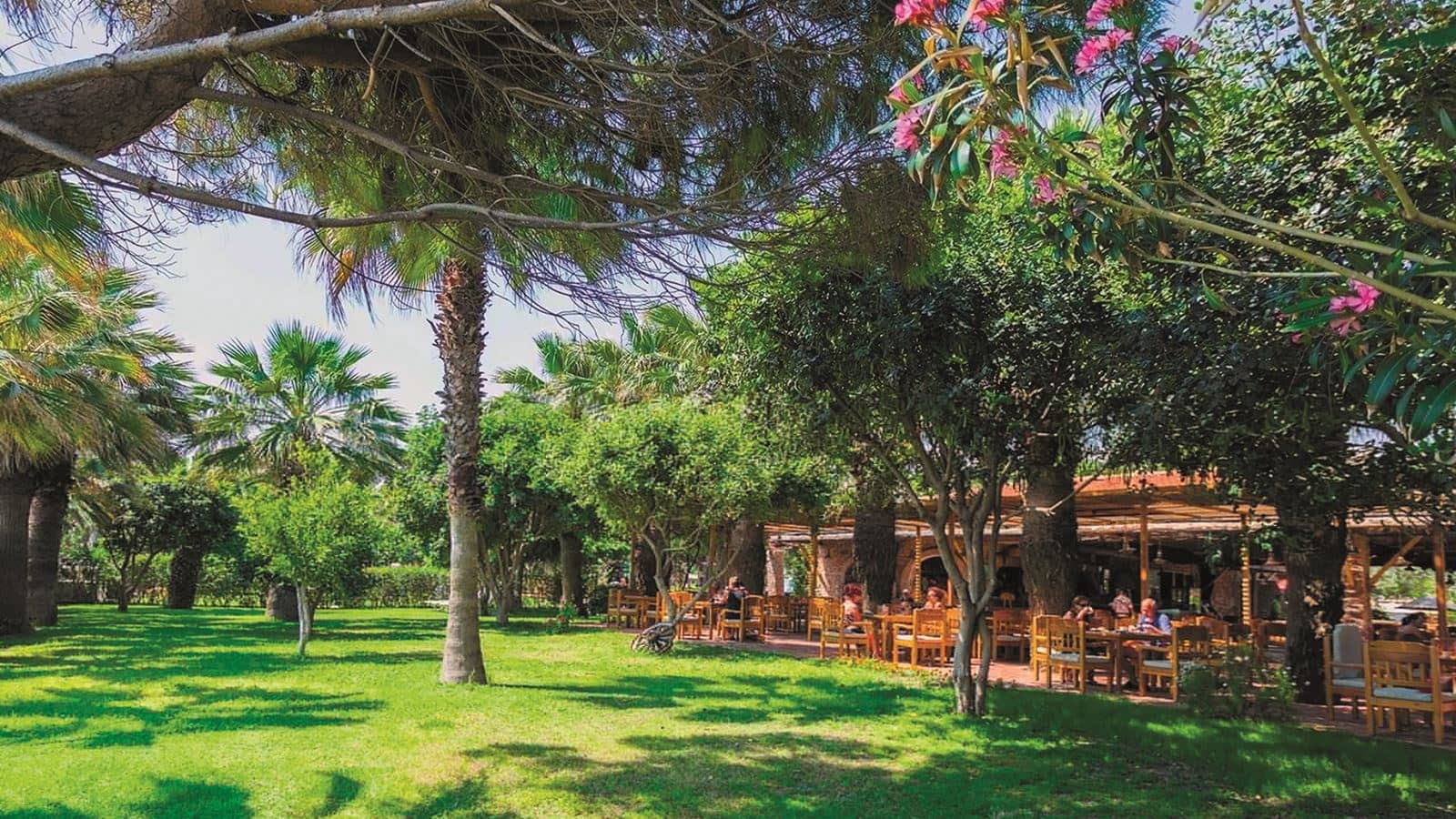 bars-kargi-bar