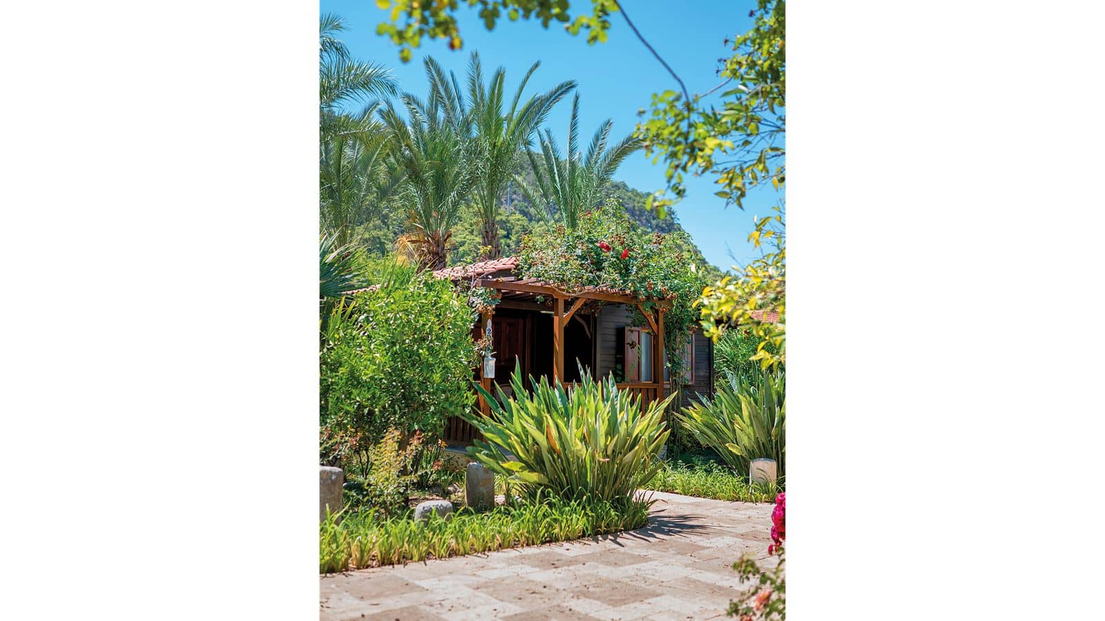 rooms-wooden-bungalow-studio