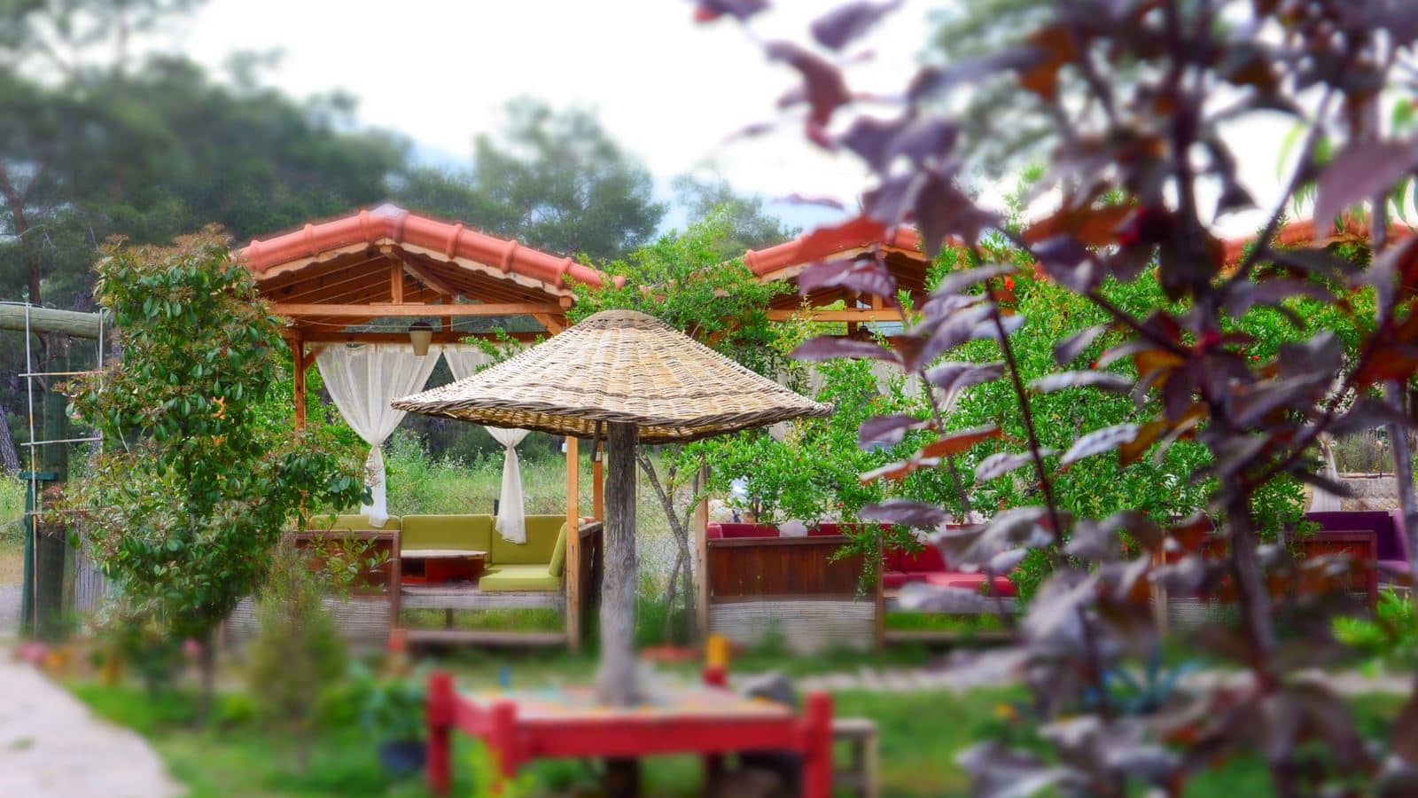 restaurants-other