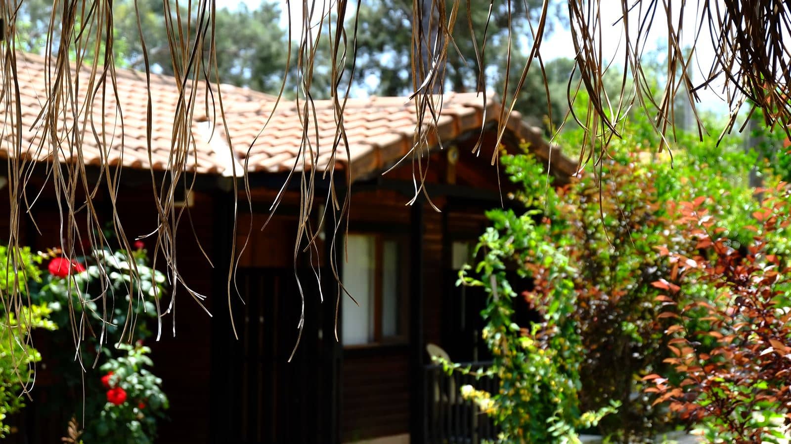 general-bungalow