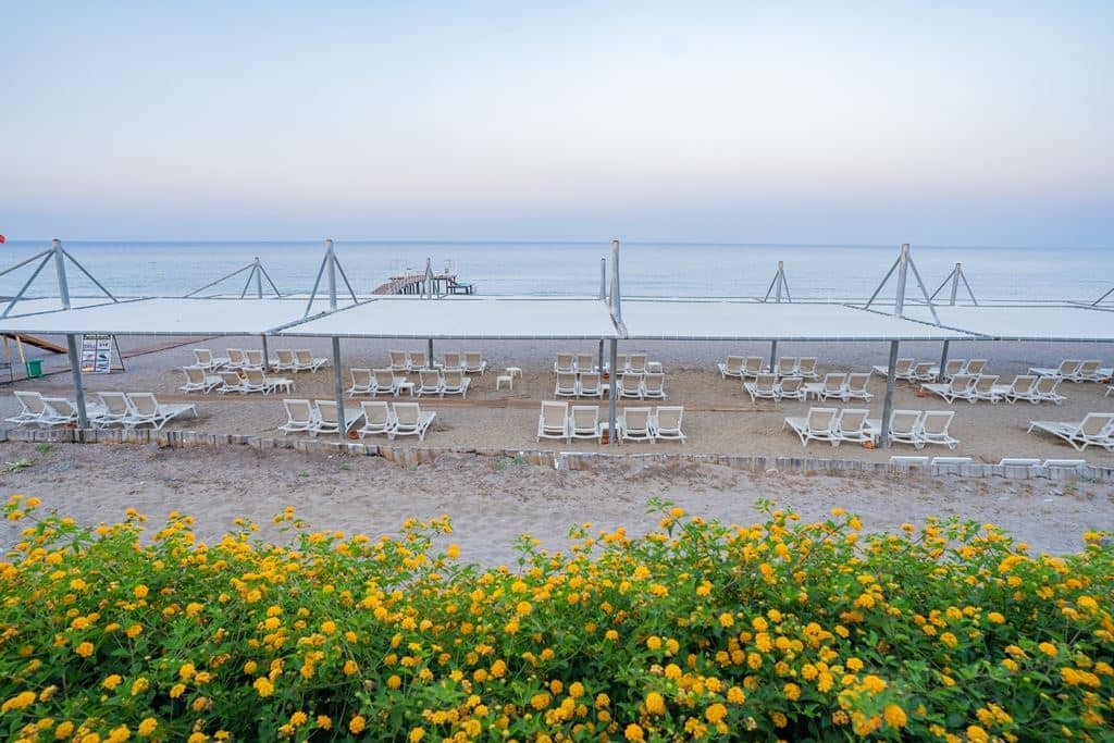 beach-beach