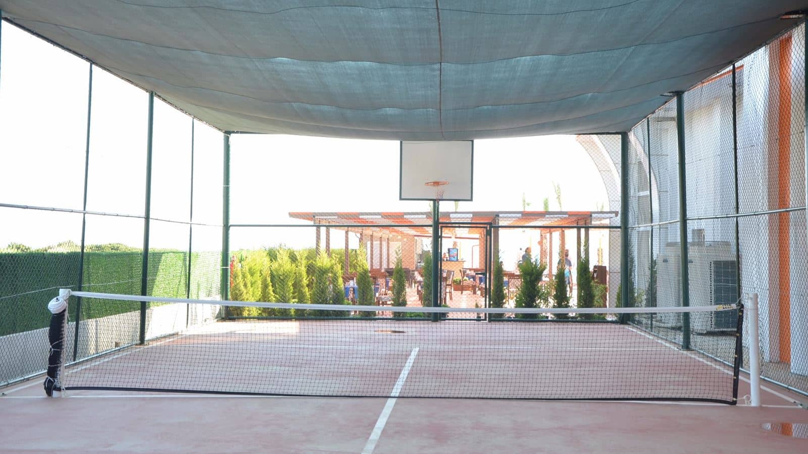 sport-sport