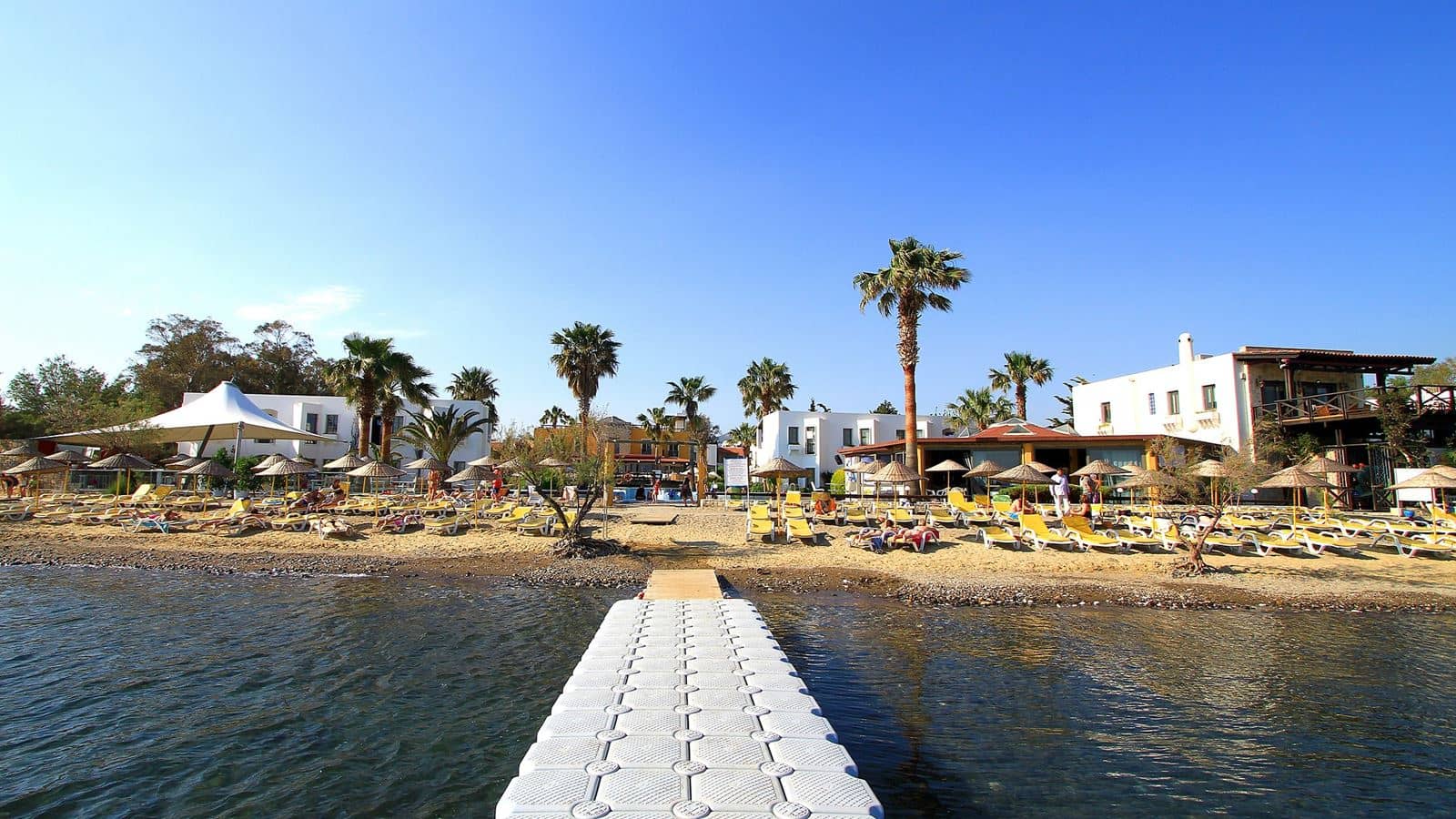 beach-beach