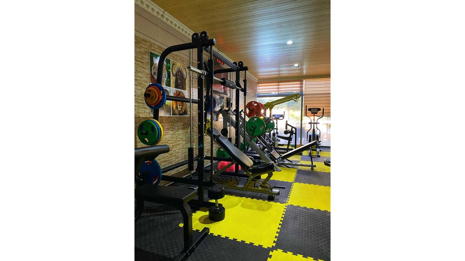 sport-sport