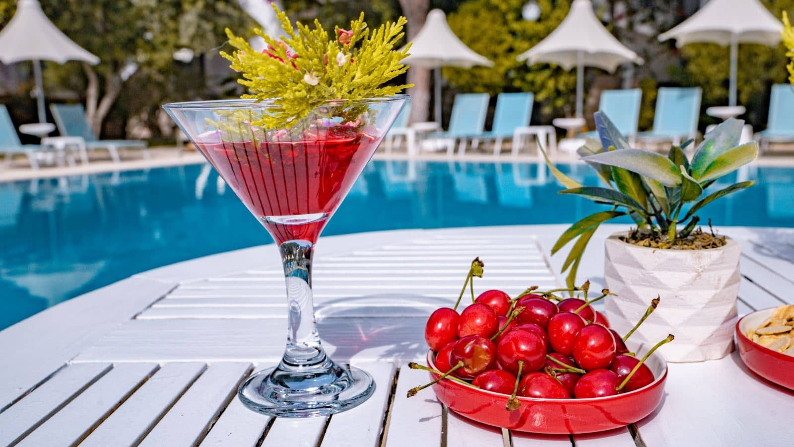 restaurants-ana-bina