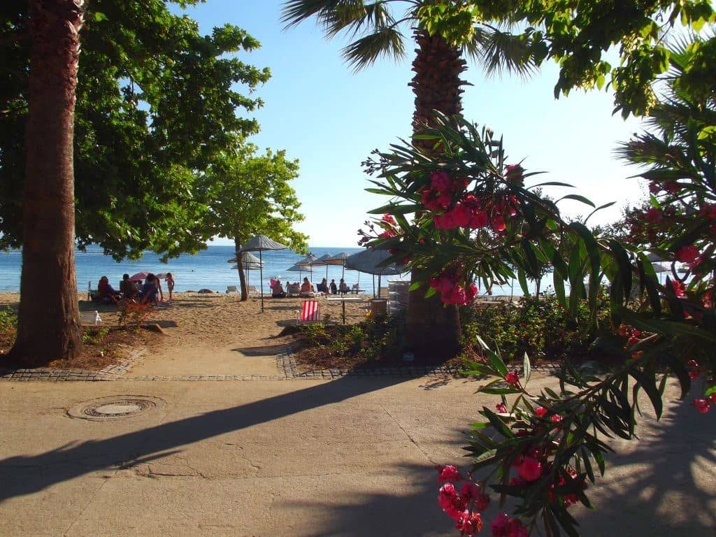 beach-beach