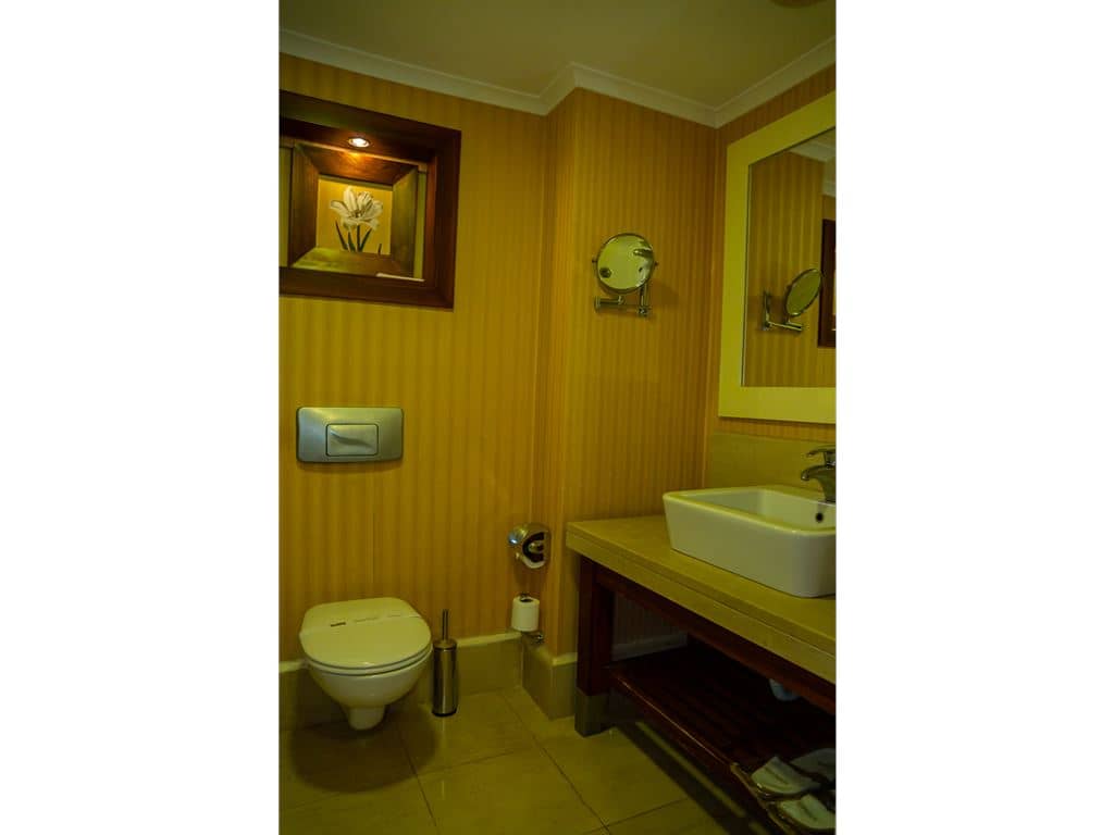rooms-standart-room-land-view