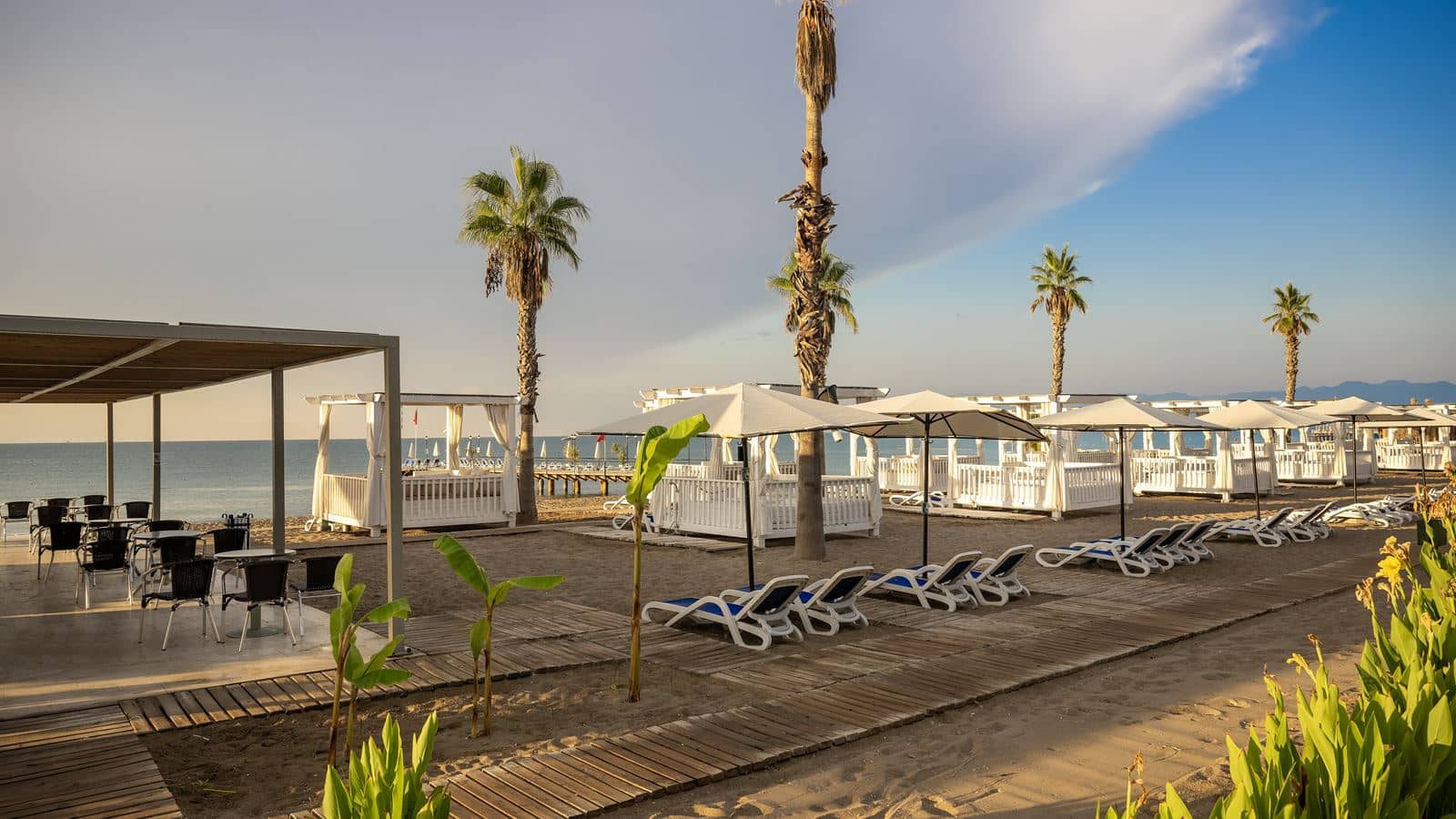 bars-palm-beach-bar