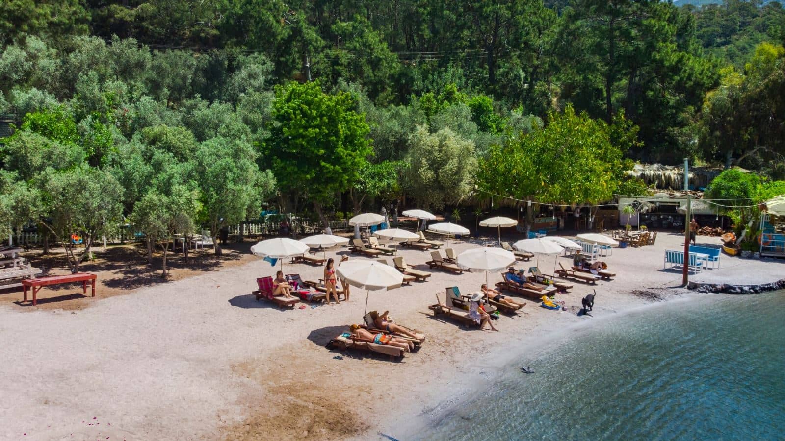 beach-beach