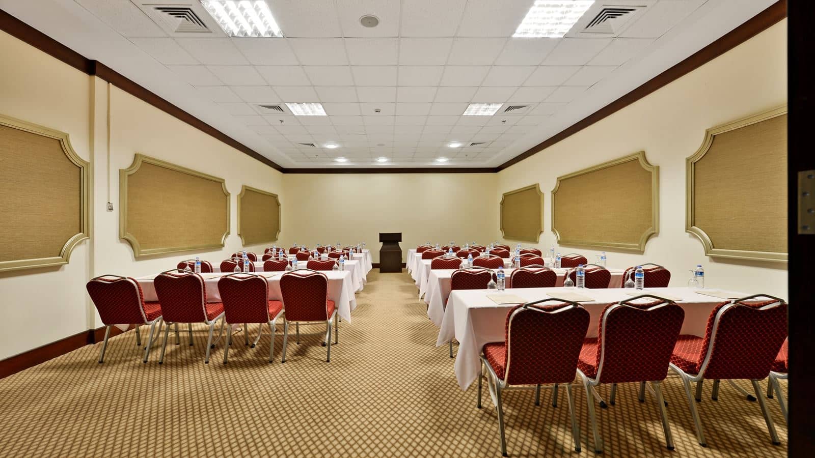 mice-mice
