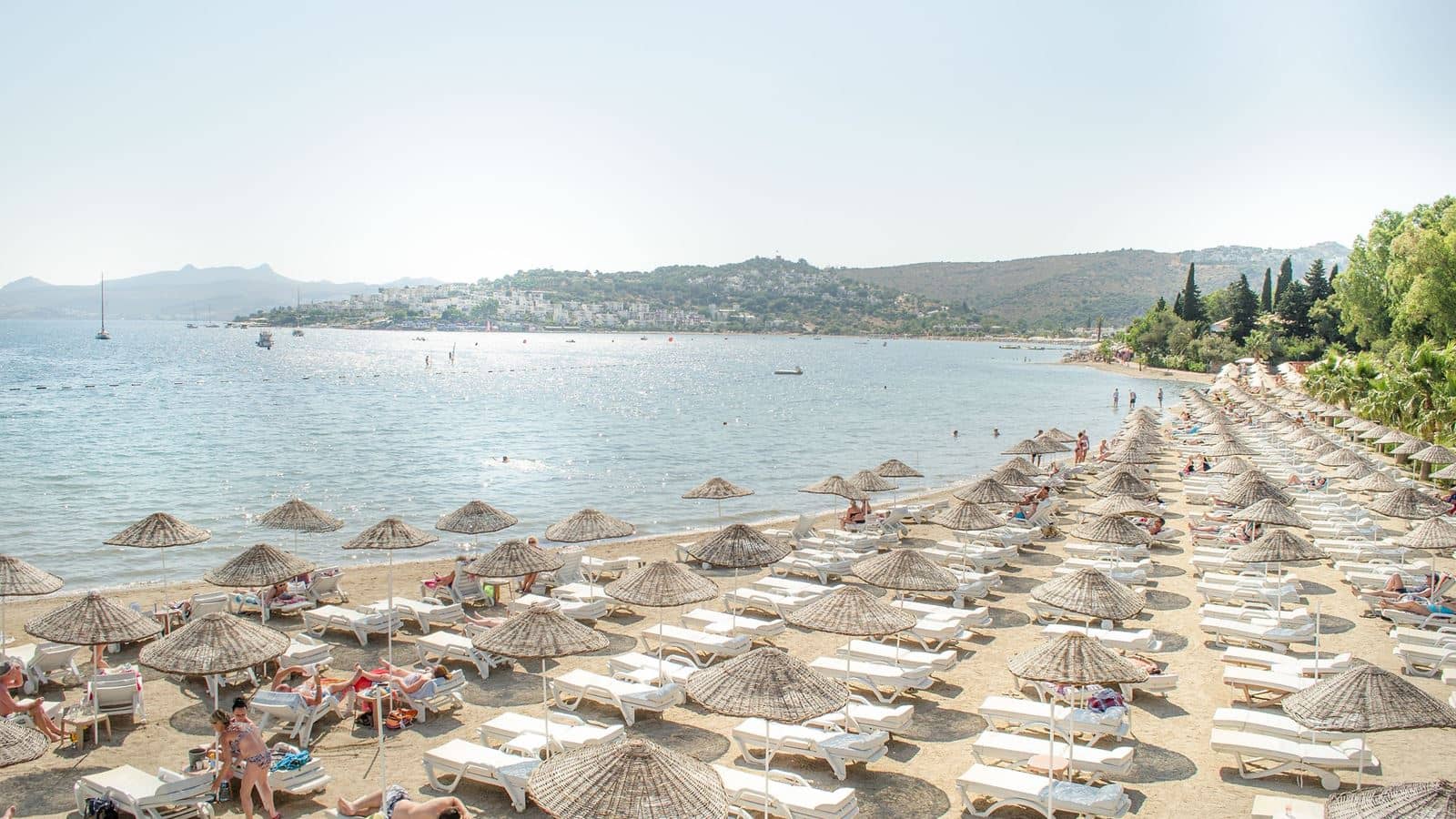 beach-beach