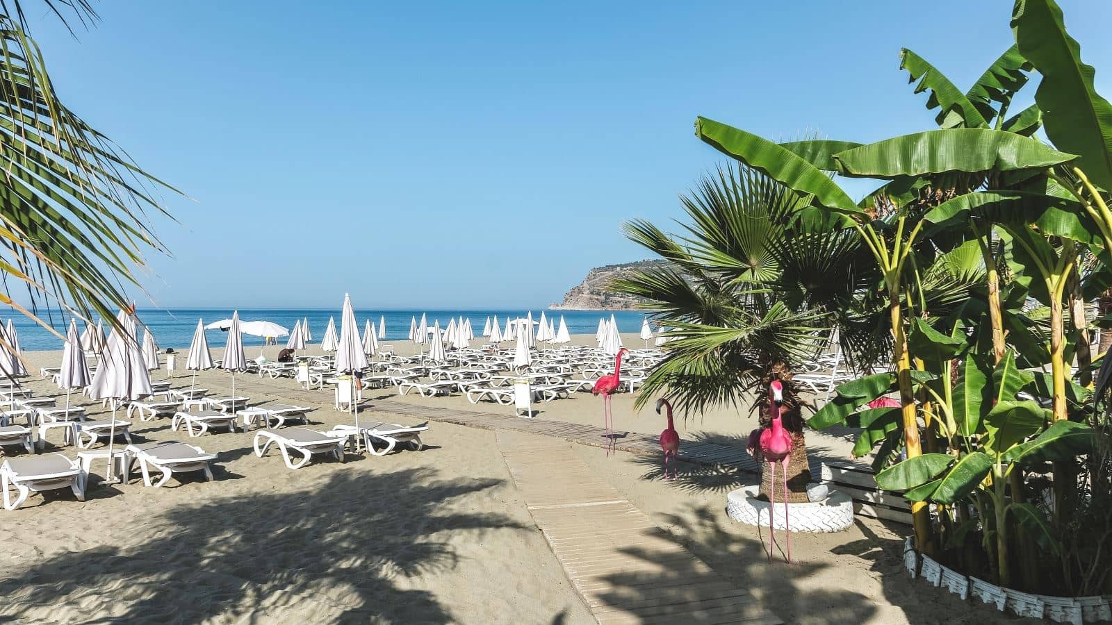 beach-beach