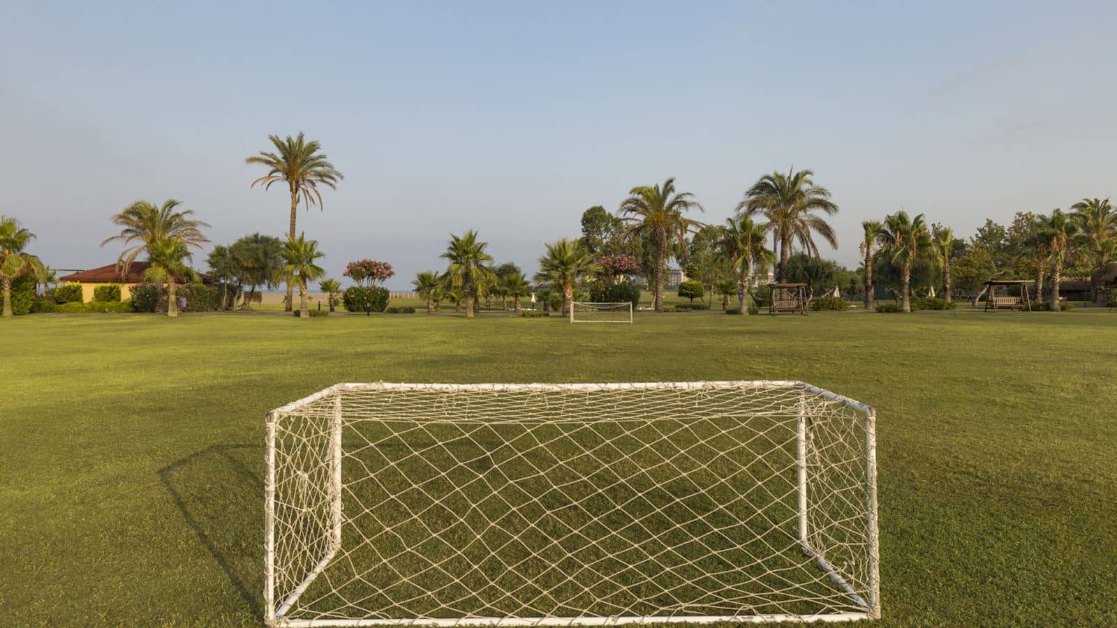 sport-sport