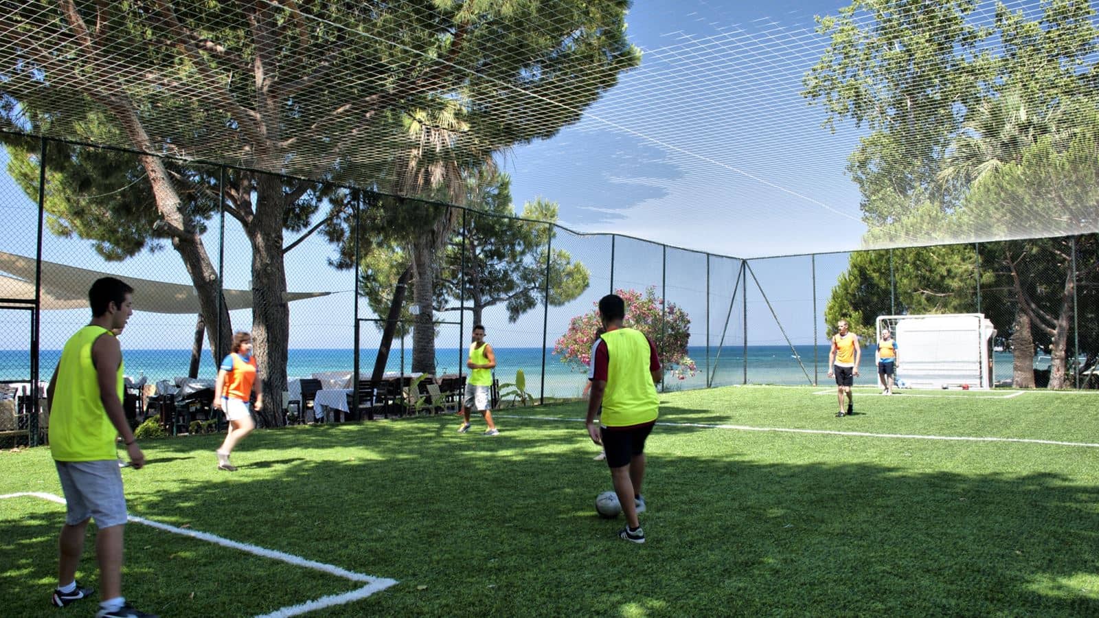 sport-sport