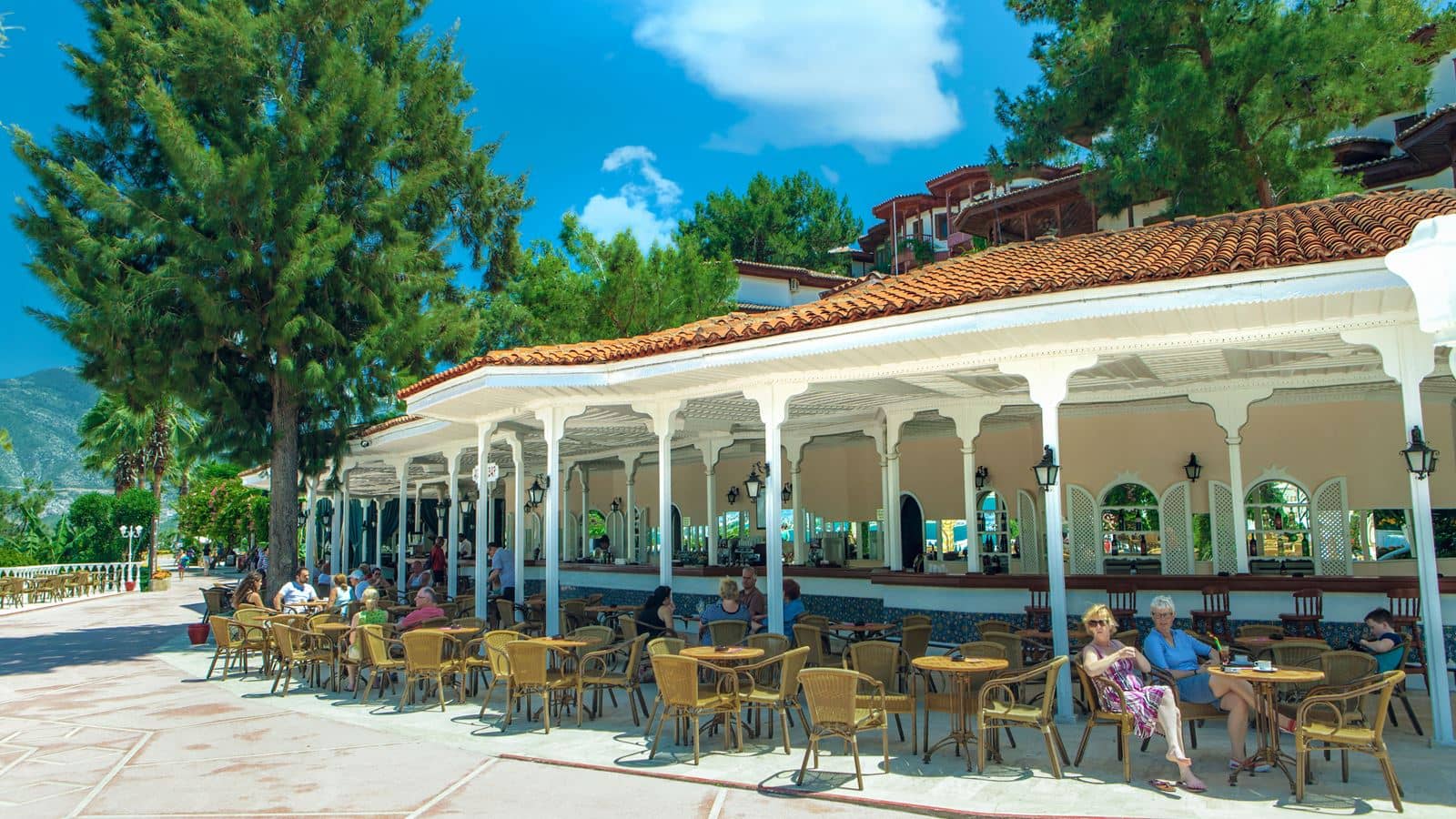 bars-agora-bar