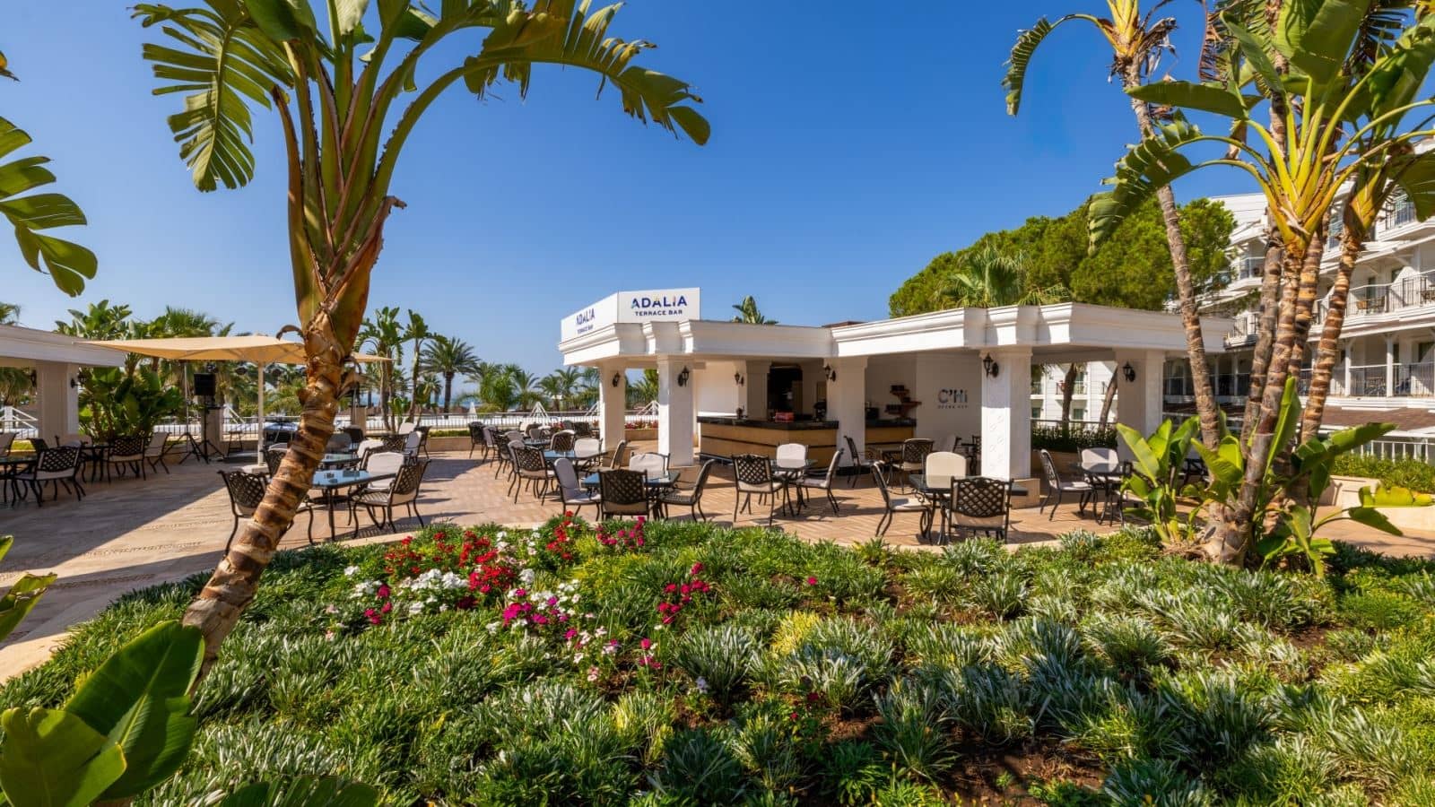 bars-terace-bar