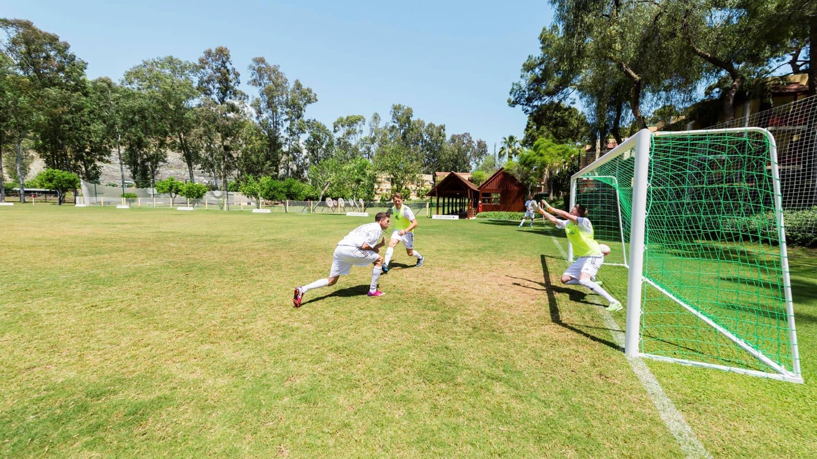 sport-sport