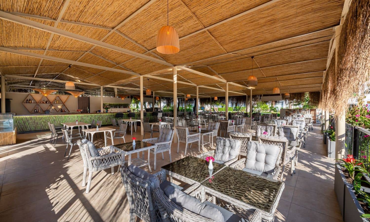 bars-paradiso-cafe-bar