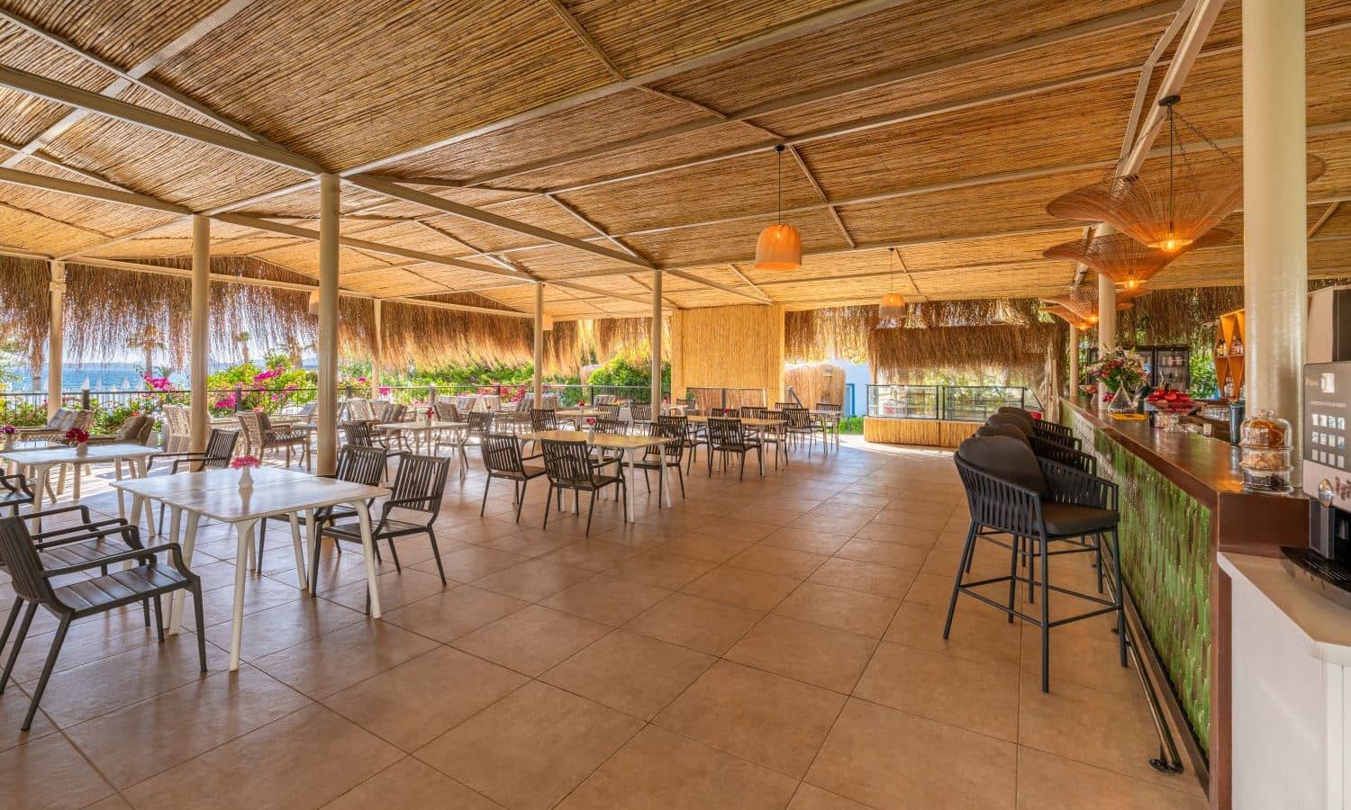 bars-paradiso-cafe-bar
