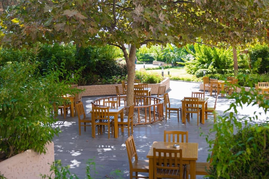 bars-cafe-turk