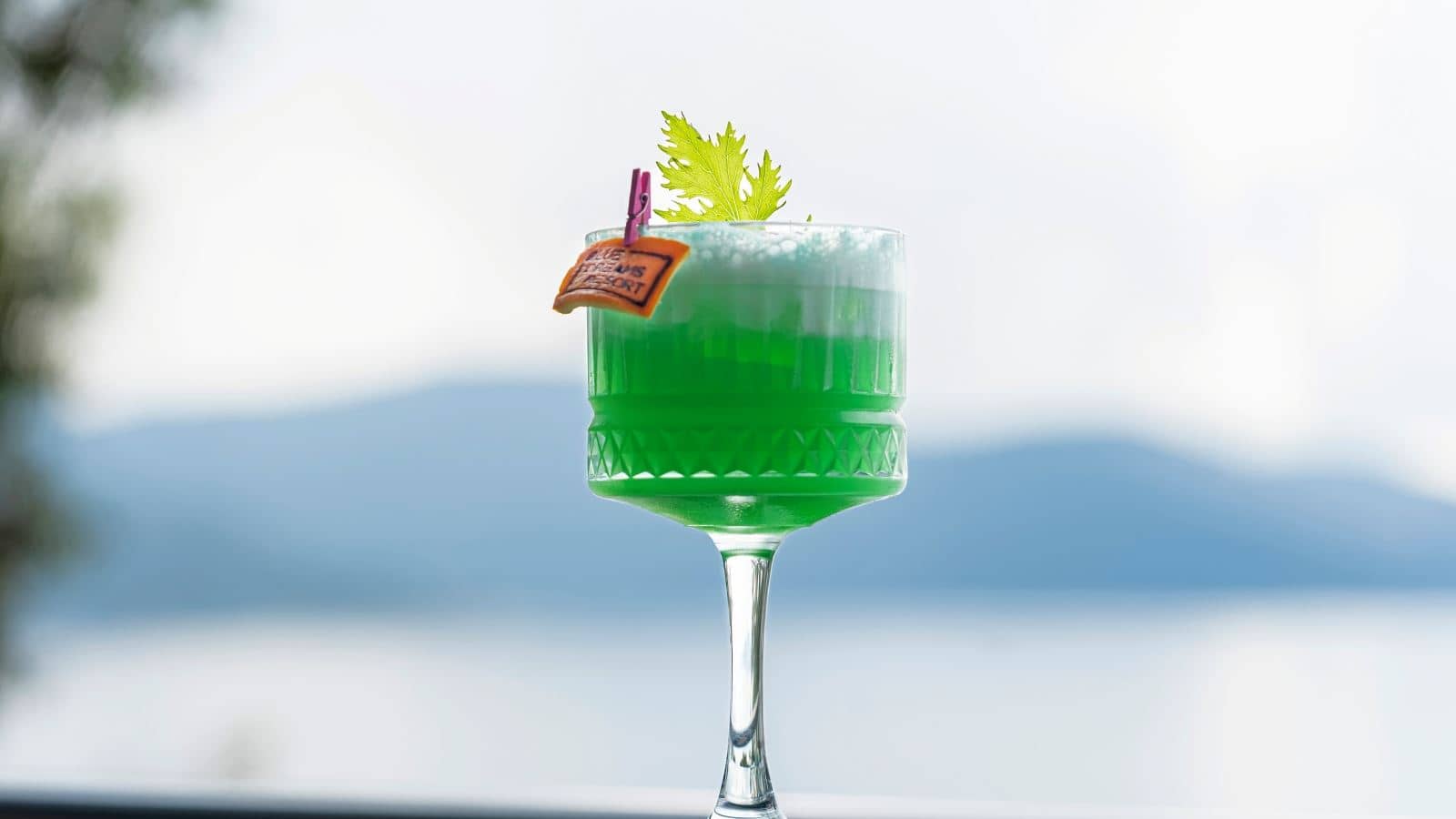bars-pier-bar