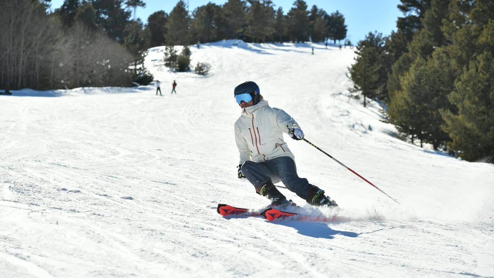 sport-sport