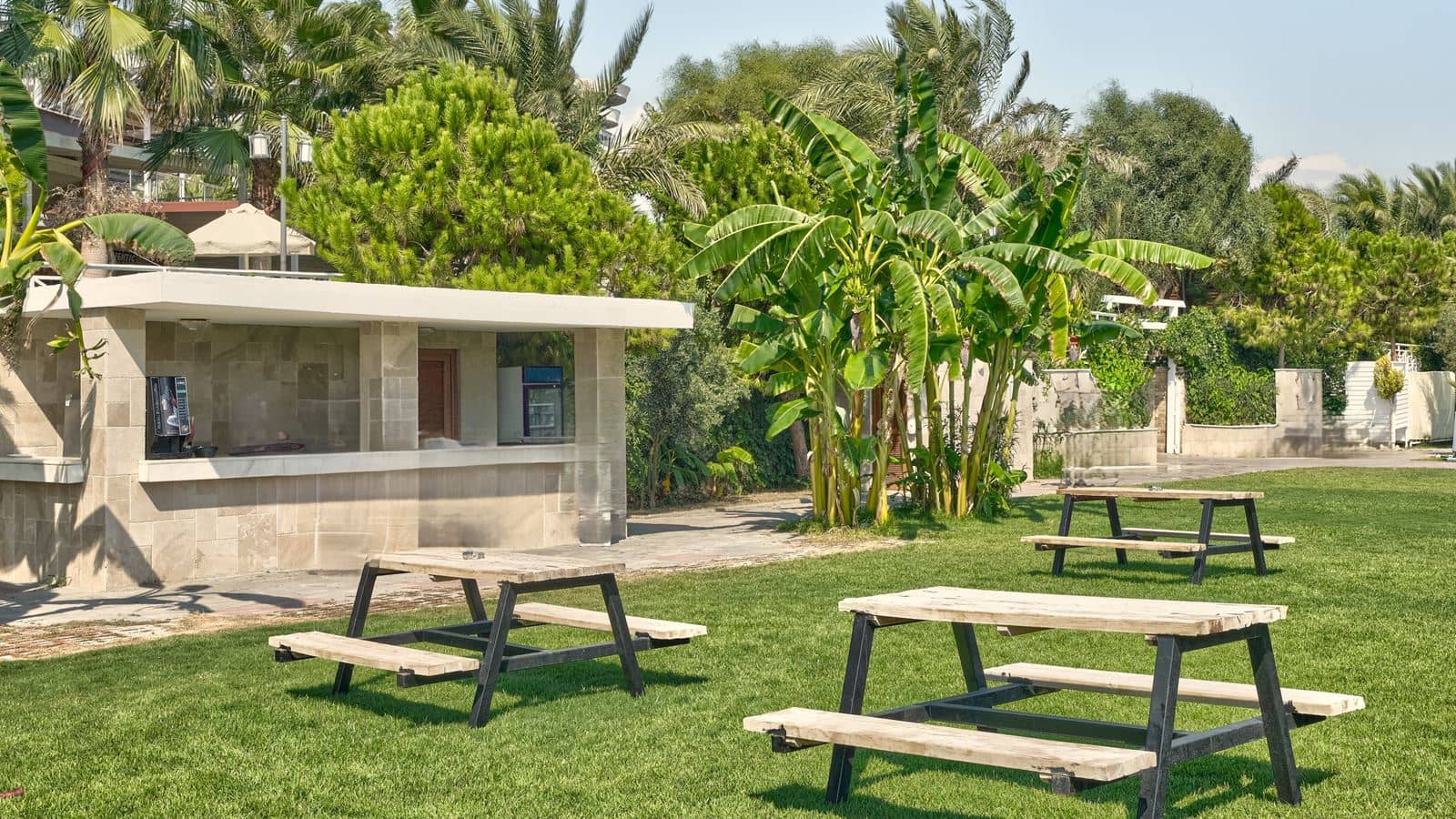 bars-beach-bar
