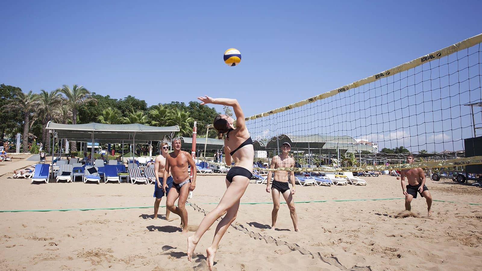 sport-sport