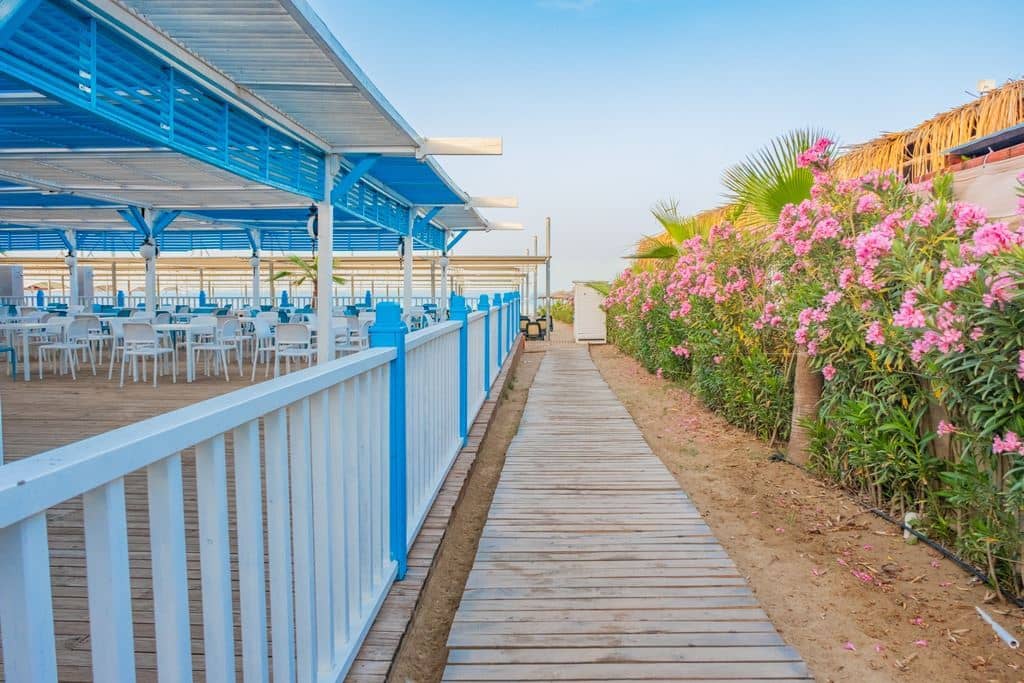 beach-beach