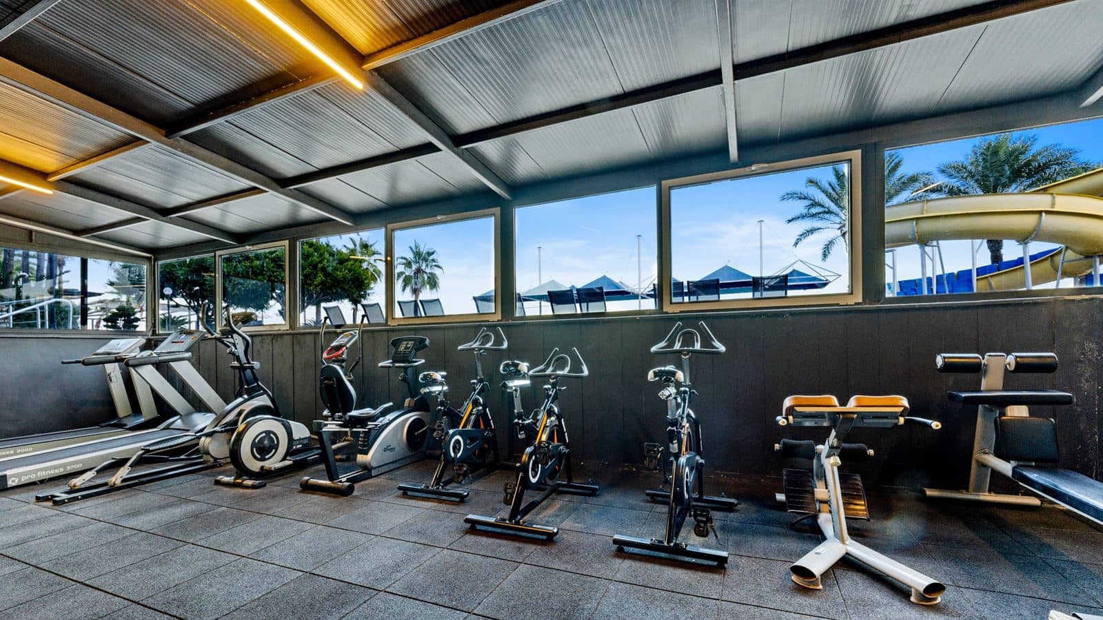 sport-sport