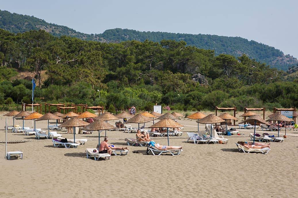 beach-beach