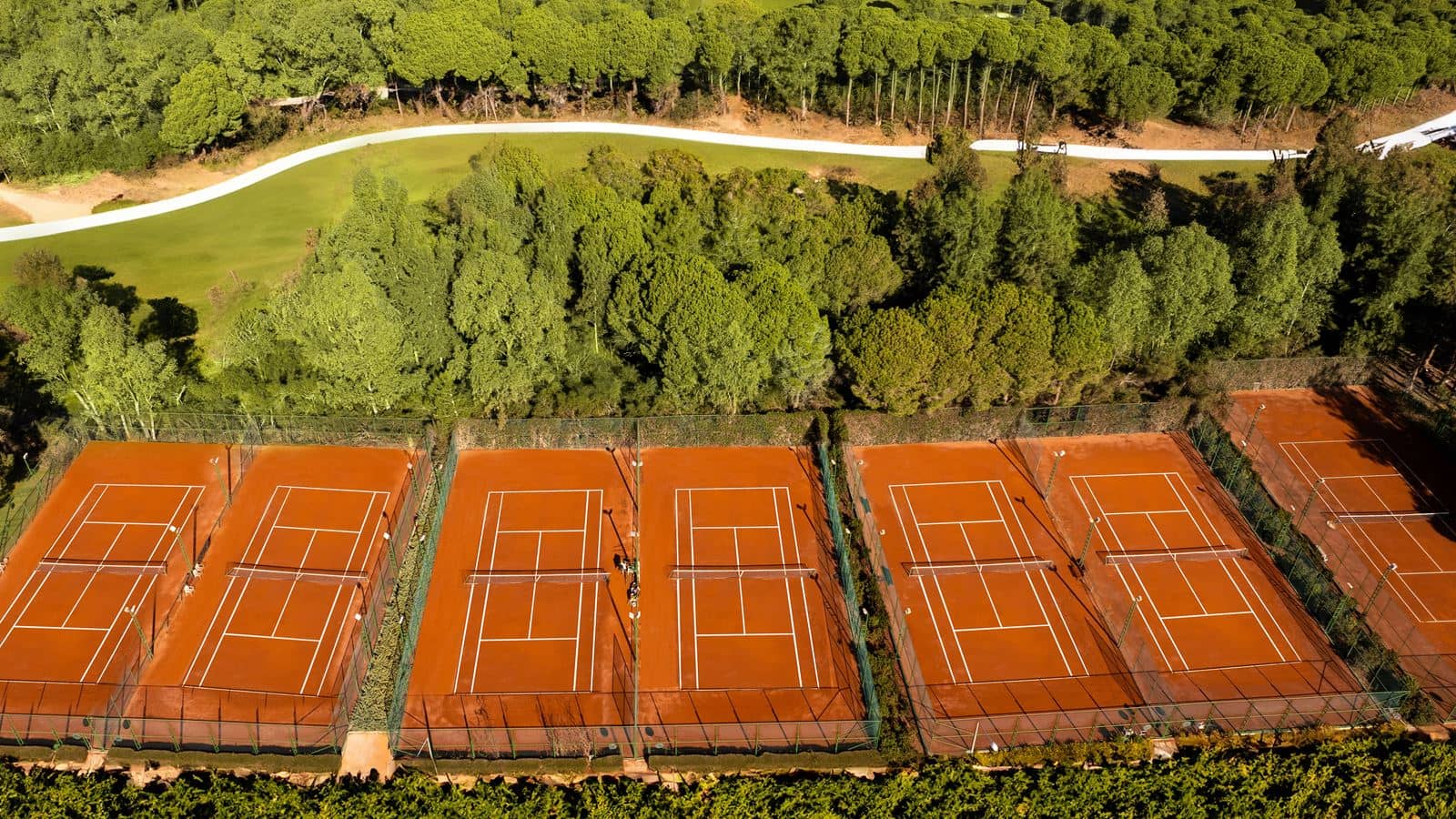 sport-sport