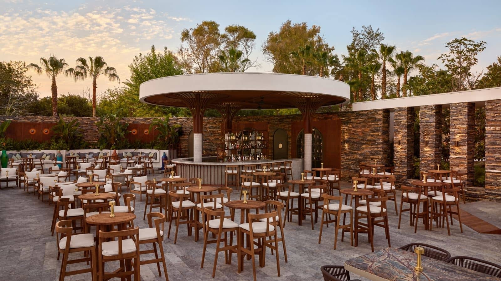 bars-the-251-social-club