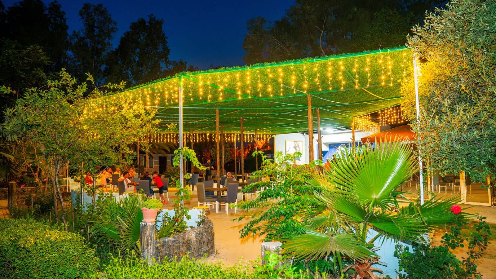 bars-beach-bar