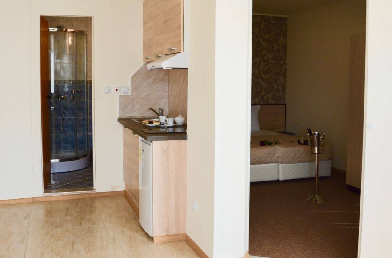 rooms-standard-apartment-balcony-or-terrace